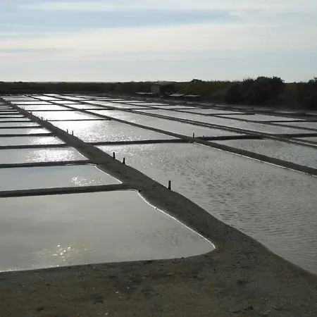 Du Port ホテル 3*